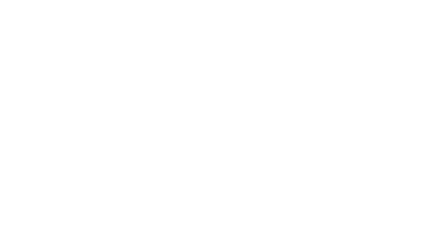 Visa Payment method logo